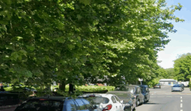 A street view of Monton Street. There are cars parked on either side of the road and trees lining the pavements.