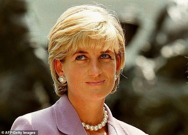 The family member who 'raised hell' to try and stop Harry from walking behind Diana's coffin