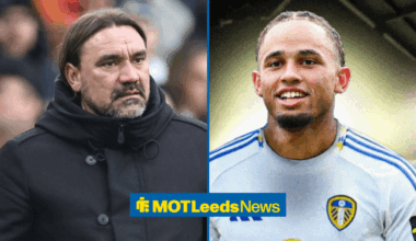 Adam Pope shares what he has read about Noah Okafor ahead of Leeds vs Fulham