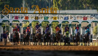 2025 American Pharoah Stakes at a Glance