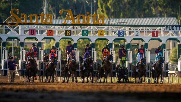 2025 American Pharoah Stakes at a Glance