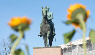 Yellow sunflowers, and the statue of Marshal Mannerheim. Helsinki, Finland