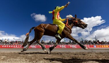 Nagqu holds horse racing festival to boost traditional sports-Xinhua