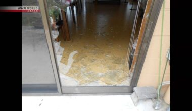 Bear breaks into northeastern Japan nursing home