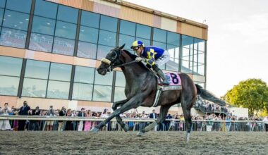 Baeza Moves Up Behind Sovereignty in Breeders' Cup Power Rankings
