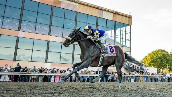 Baeza Moves Up Behind Sovereignty in Breeders' Cup Power Rankings