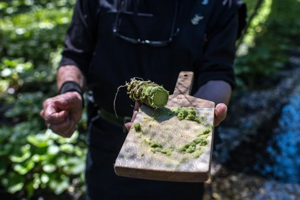 The benefits of wasabi come out when the plant is grated into a pulp (Getty Images)