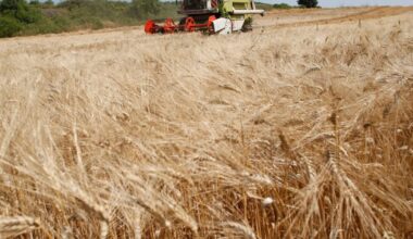 Which farmers should the EU save? Let the battle begin. – POLITICO