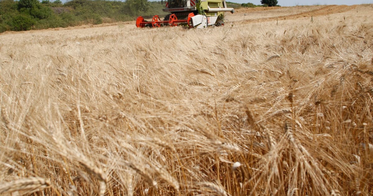 Which farmers should the EU save? Let the battle begin. – POLITICO