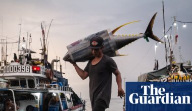 Draining the sea: fishing in crisis in south-east Asia – in pictures | Environment