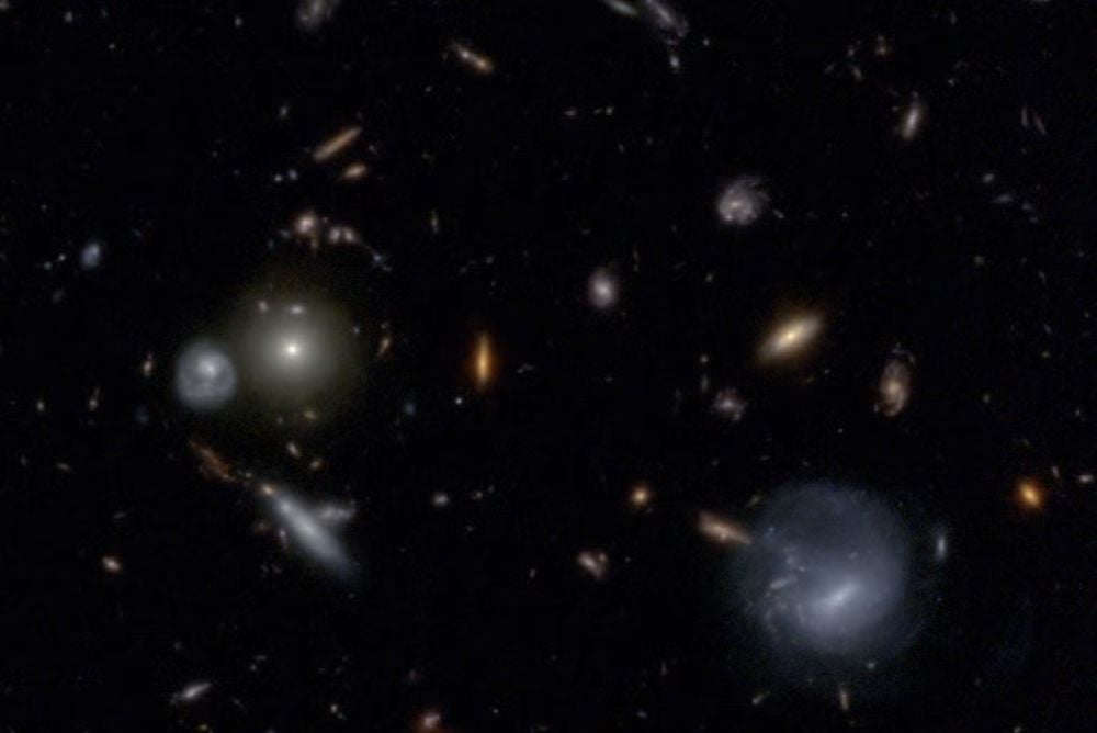 This JWST image shows a variety of shapes and colours of galaxies. The MINERVA (Medium-band Imaging with NIRCam to Explore ReVolutionary Astrophysics) program is using the JWST to find rare and unusual galaxies in the early Universe. Image Credit: Courtesy of Danilo Marchesini/MINERVA