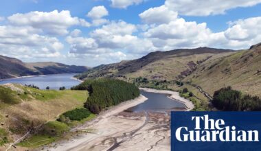 Hedgehogs, salmon and birds at risk after dry summer, says Natural England | Drought