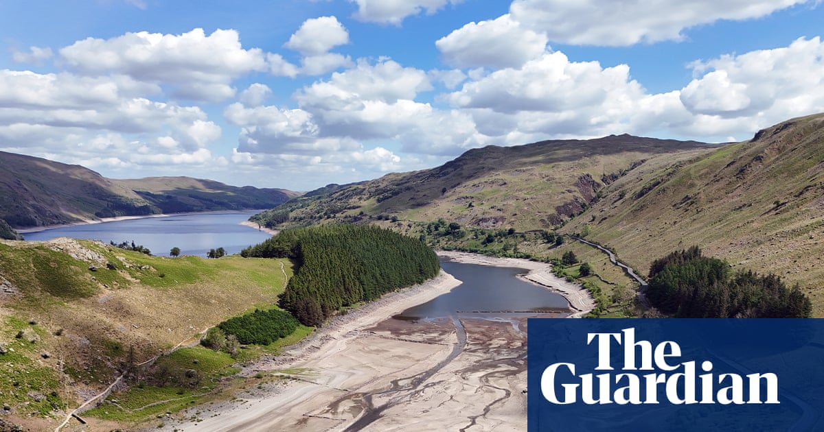 Hedgehogs, salmon and birds at risk after dry summer, says Natural England | Drought