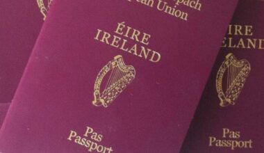 Increase in US citizens applying for asylum here since Trump’s second term – The Irish Times