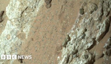 Nasa rover finds rocks on Mars with potential signs of past life