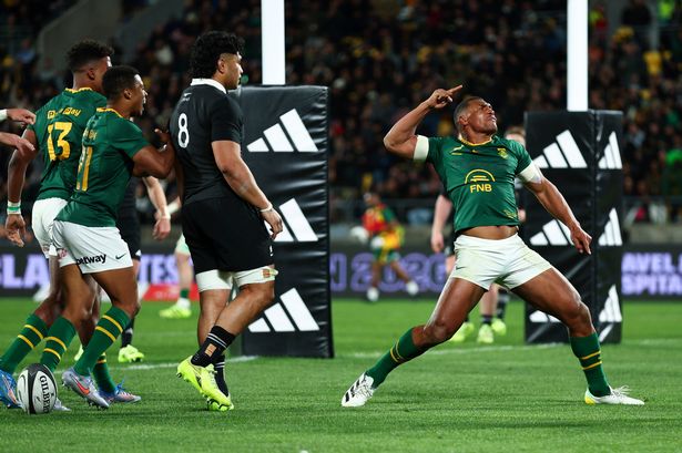 Damian Willemse was on the scoresheet as the Springboks thumped the All Blacks in a record defeat