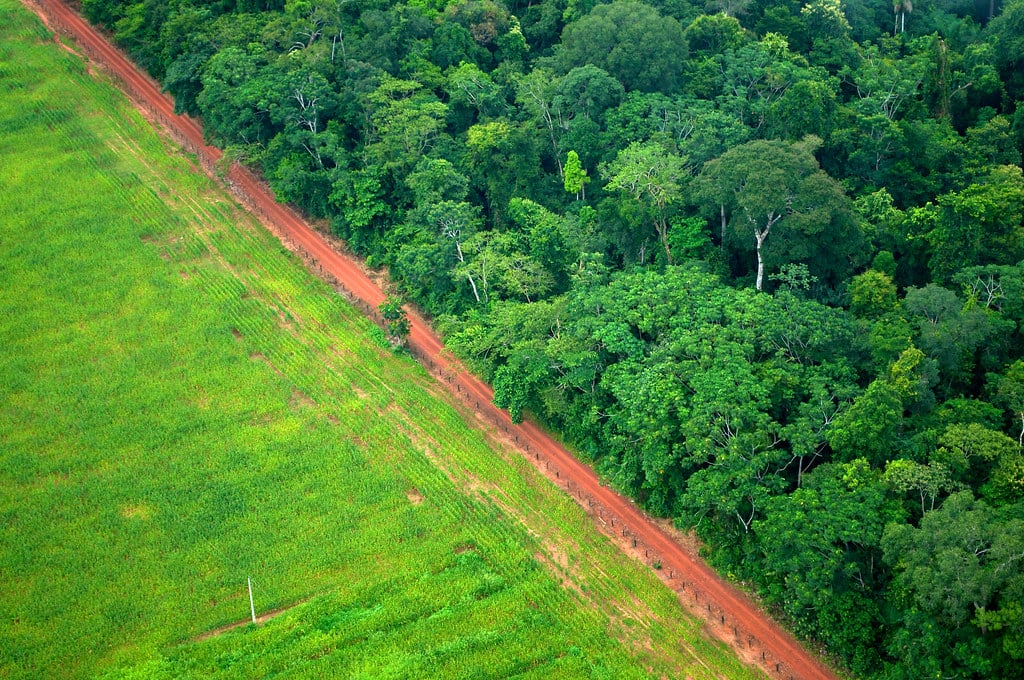 US loggers and Latin America try to defang EU forestry law
