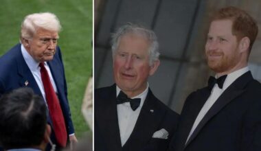 EXCLUSIVE: Prince Harry 'Begged King Charles on His Knees' To Kill His Visa Scandal at State Banquet in U.K. With Donald Trump