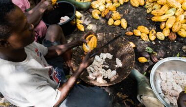 Why the EU can’t afford to sideline the world’s smallholder farmers