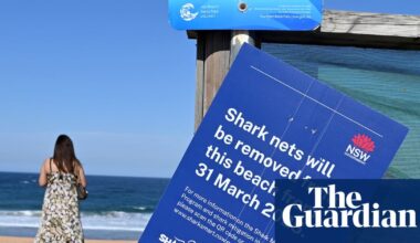 How do shark nets work? After a deadly attack in Sydney, their effectiveness is being questioned | Sharks