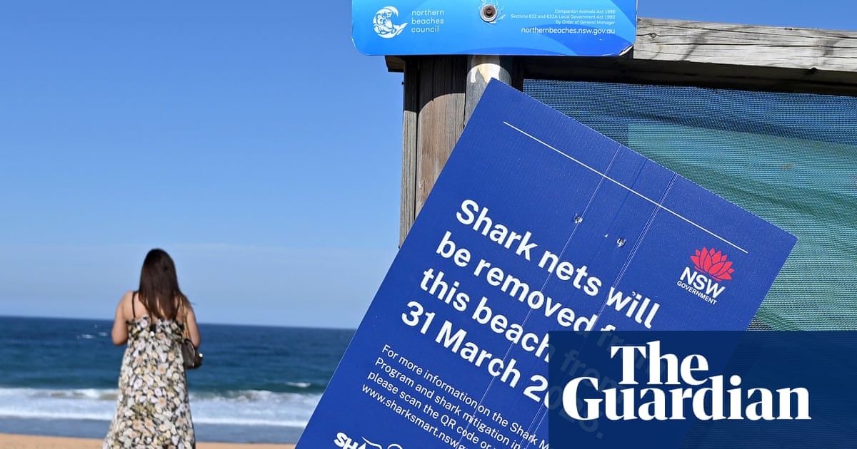 How do shark nets work? After a deadly attack in Sydney, their effectiveness is being questioned | Sharks