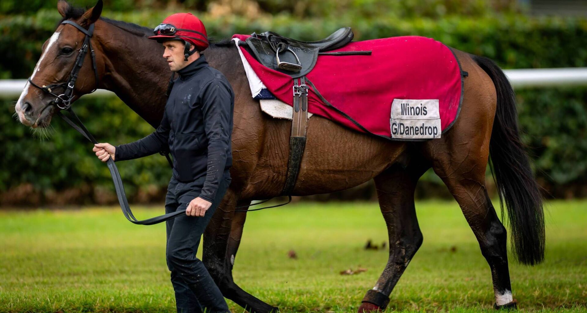 O'Brien's Illinois among those to face unbeaten raider Amiloc takes in Sunday’s Comer Group International Irish St Leger at the Curragh - News