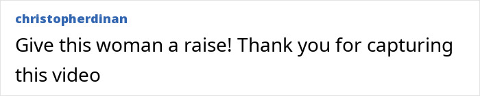 Screenshot of a social media comment praising a video related to an entitled passenger kicked off a flight incident.