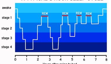 Pictured, different steps of the night sleep cycle. Most dreaming occurs during REM sleep (marked in red) although some can also occur in non-REM sleep