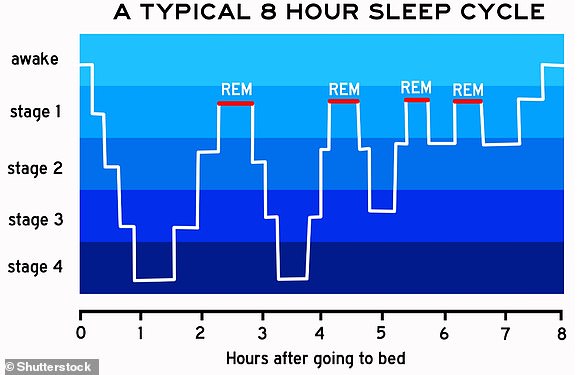 Pictured, different steps of the night sleep cycle. Most dreaming occurs during REM sleep (marked in red) although some can also occur in non-REM sleep