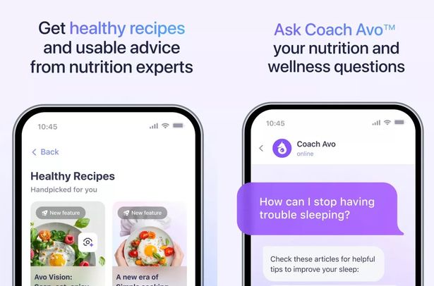  AI-powered assistant, Avo