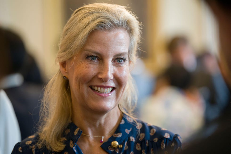 sophie duchess of edinburgh half up hair