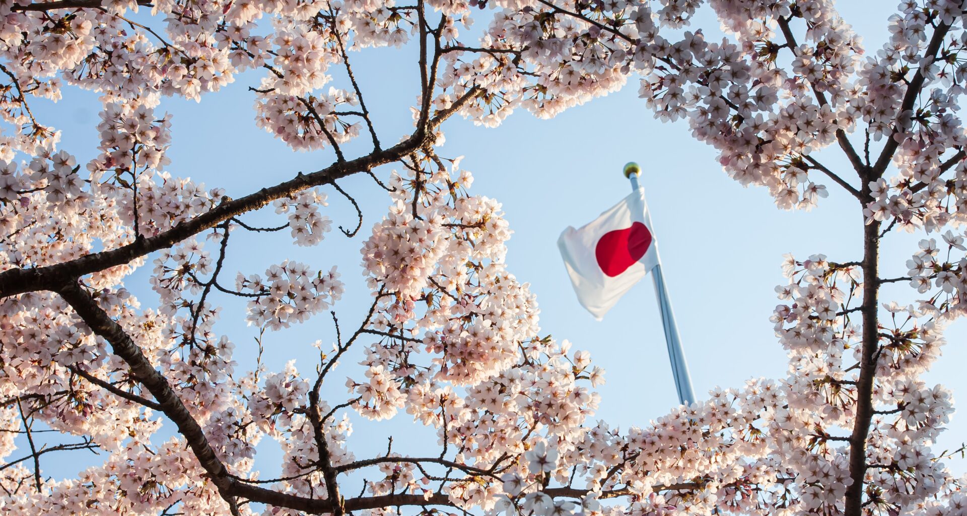 Japanese equities: is the market’s moment in the sun over?