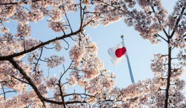 Japanese equities: is the market’s moment in the sun over?