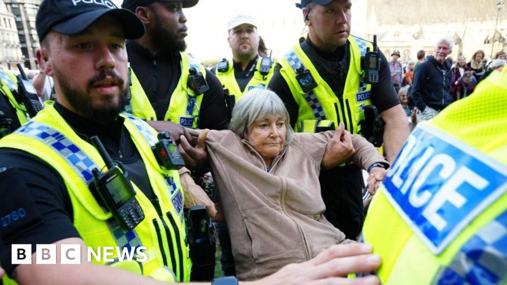Arrests at pro-Palestine Action protest rise to 890