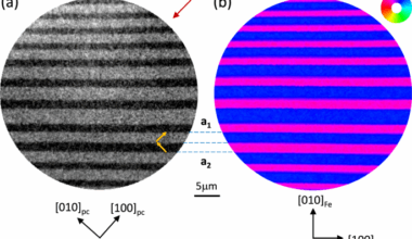 Inverted shear-strain magnetoelastic coupling at the Fe/BaTiO3 interface from polarised x-ray imaging