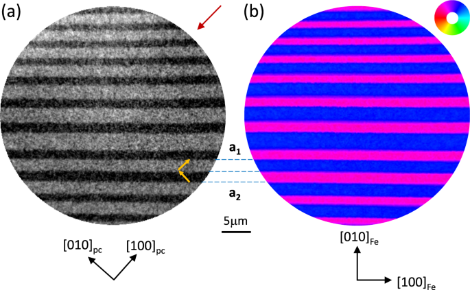 Inverted shear-strain magnetoelastic coupling at the Fe/BaTiO3 interface from polarised x-ray imaging