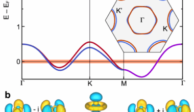 Friedel oscillations and chiral superconductivity in monolayer NbSe2