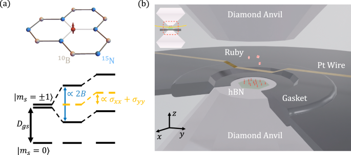 Probing stress and magnetism at high pressures with two-dimensional quantum sensors