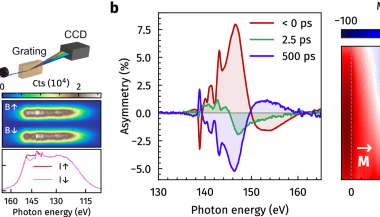 Transient domain boundary drives ultrafast magnetisation reversal