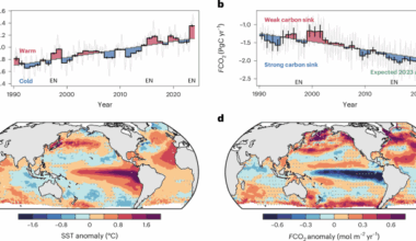 Unexpected decline in the ocean carbon sink under record-high sea surface temperatures in 2023
