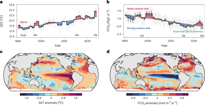 Unexpected decline in the ocean carbon sink under record-high sea surface temperatures in 2023