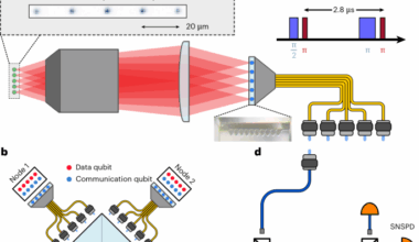 Parallelized telecom quantum networking with an ytterbium-171 atom array
