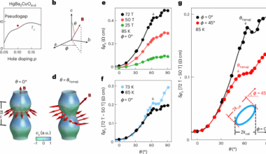 Observation of the Yamaji effect in a cuprate superconductor
