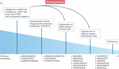 Synthetic lethality in cancer drug discovery: challenges and opportunities