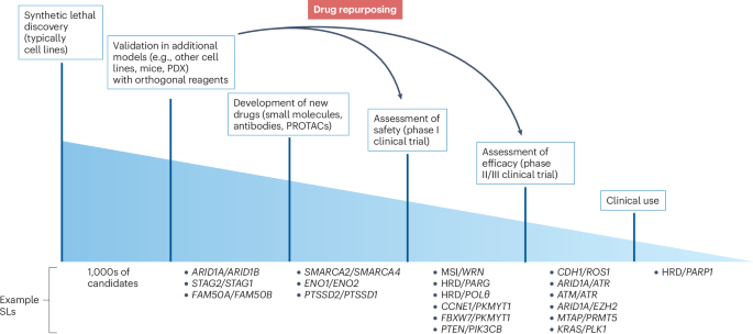 Synthetic lethality in cancer drug discovery: challenges and opportunities