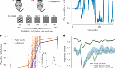 Brain-wide representations of prior information in mouse decision-making
