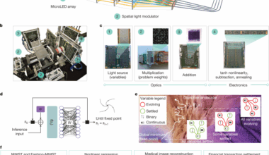Analog optical computer for AI inference and combinatorial optimization