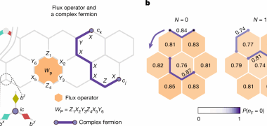 Probing non-equilibrium topological order on a quantum processor