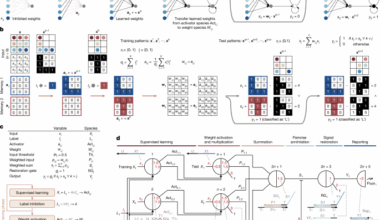 Supervised learning in DNA neural networks