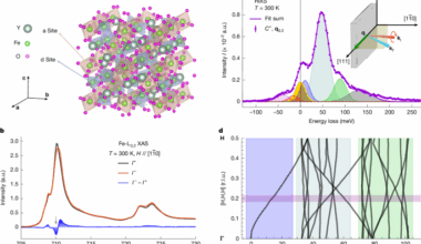 Observing differential spin currents by resonant inelastic X-ray scattering